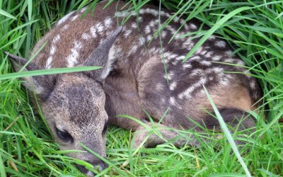 30. April 2019 – Es geht los!