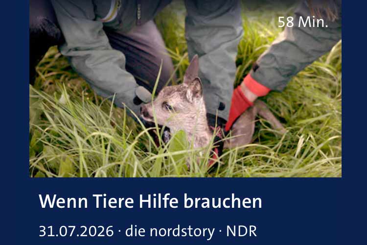 Bildschirmfoto-2026-08-01-um-00.19.30